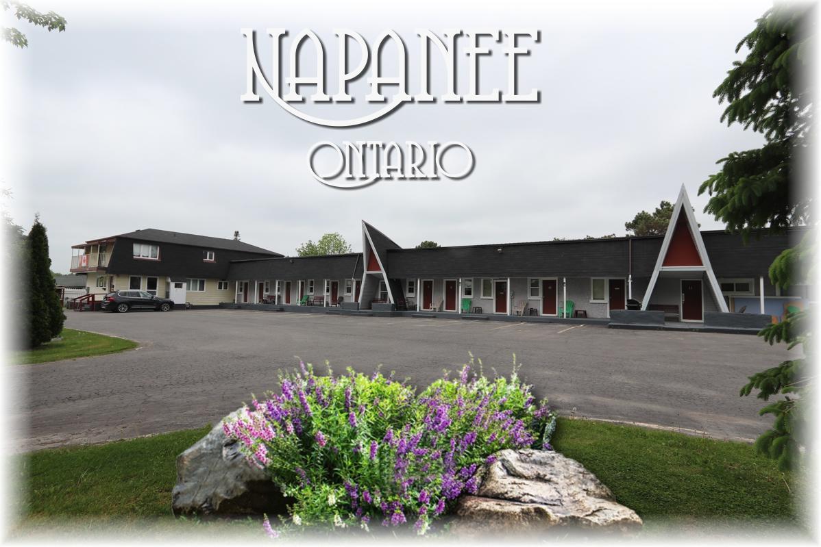 Twin Peaks Motel Napanee Exterior foto